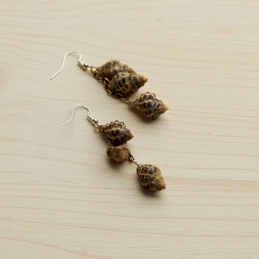 Two mussels, oval shell earrings, hanging rings, beige, white, brown, one to three shells, natural, handmade in Germany